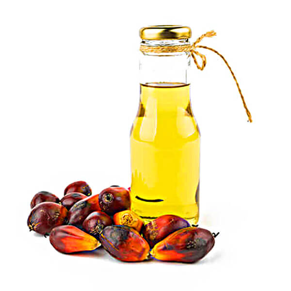 Palm Oil CO016