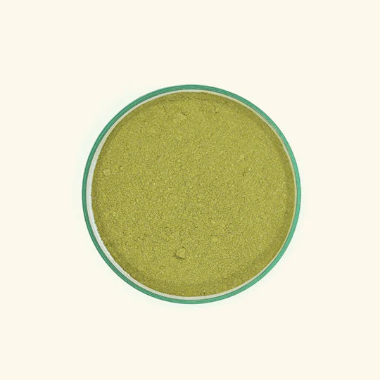 Curry Leaf powder PW023