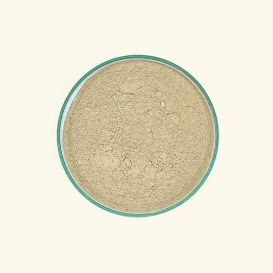 Ashwagandha Powder PW034